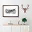 Crocodile in Black & White by George Shaw - Picture Frame Drawing Print on MDF-55621407-55621411