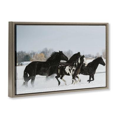 Cadre flottant Winter Herd of Horses, design par Amy Carroll