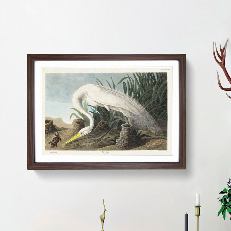 White Heron by John Audubon - Picture Frame Art Prints, 27cm H x 36cm W x 2cm D, Walnut Framed