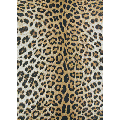 Ehren Leopard Animal Print New Gold Indoor Outdoor Area Rug