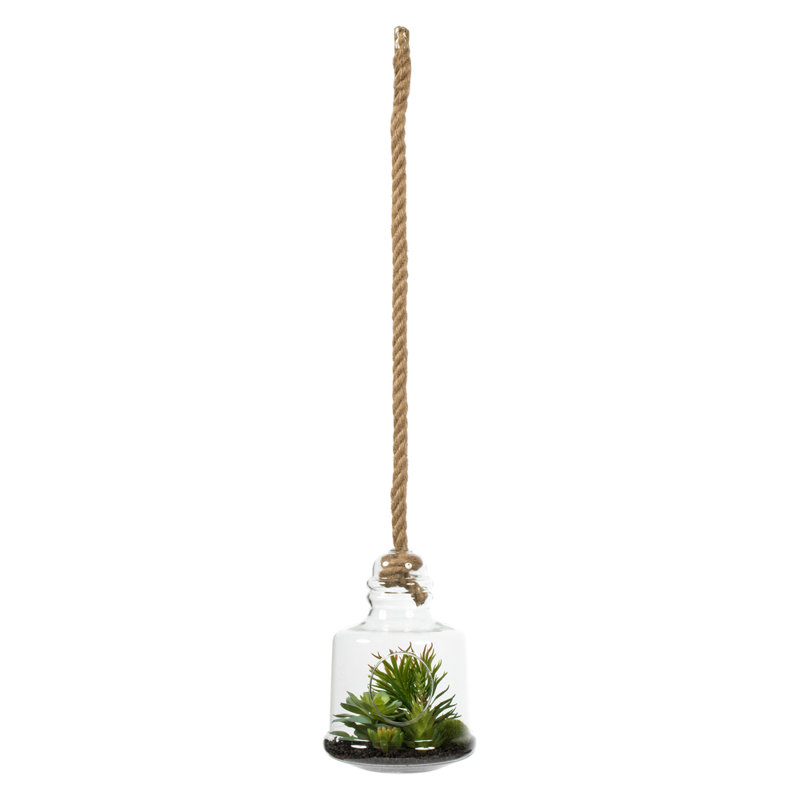 Succulent de lotus en pierre assortie dans un pot