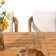Outdoor Rectangular Dining Set With Cushions