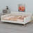 Upholstered Daybed With 4 Support Legs-386181095