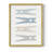 Laundry Pins Framed Print - Solid Wood-1406266998-1406266999