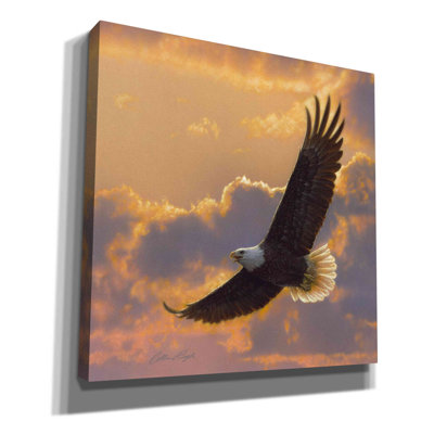 " Soaring Spirit " by Collin Bogle