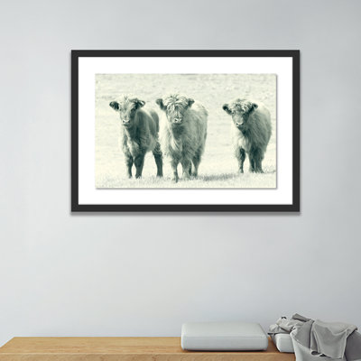« vaches » par pernille westh-cadre photo, impression sur papier