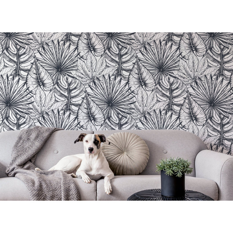 Chanruss Matte Wall Mural, 300cm W x 200cm L