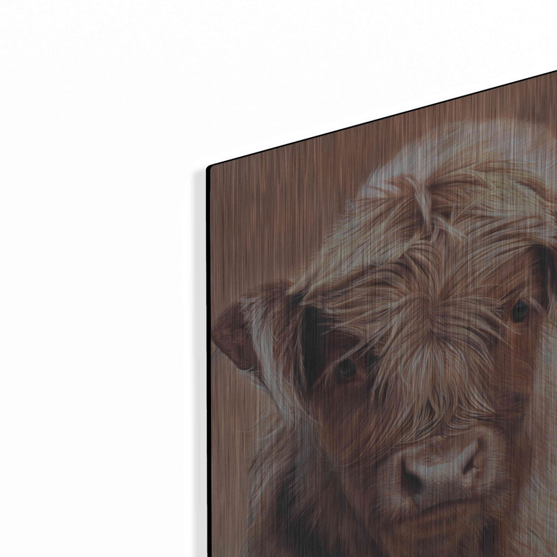 " Angus " by Sam Dolman, 24" H x 16" W
