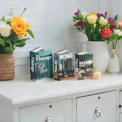 Ensemble de livres de rangement décoratifs 