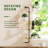 Window Shelf For Plants, 4 Tier Rotating Window Sill Plant Shelves Stand Plant Wall Holder With Hanger