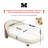 Ergonomic Solid Wood Dog Bed with Memory Foam Padding and Elevated Design-1741195029