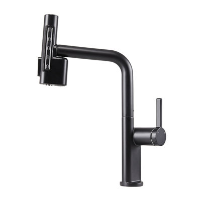 Fairmont Park Pull Out Kitchen Faucet