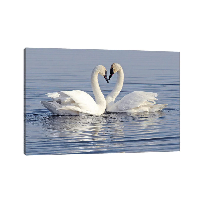 The Heart by Brian Wolf - Wrapped Canvas Gallery-Wrapped Canvas Giclée, 66.04 cm H x 45.72 cm W x 3.175 cm D