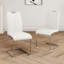 Ensemble de 2 chaises de salle à manger modernes