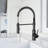 Vetta Pull Out Kitchen Faucet-100462980