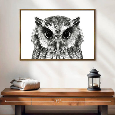 Bewitching Owl