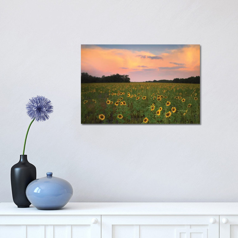 Common Sunflower Field Near Flint Hills National Wildlife Refuge, Kansas 1 Piece Wrapped Canvas Wall Art