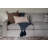 Upholstered 113.75 " Sofa