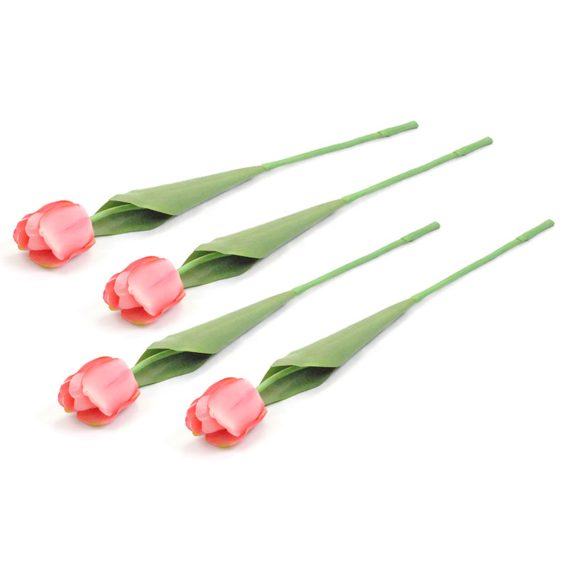 Tige de tulipes, Rose