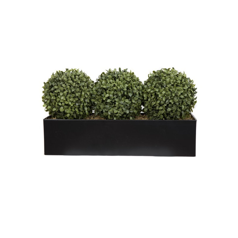 Topiary Ball (54cm) Window Box Black, Triple, Black