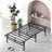 Higbee 14" Steel Bed Frame-683076684