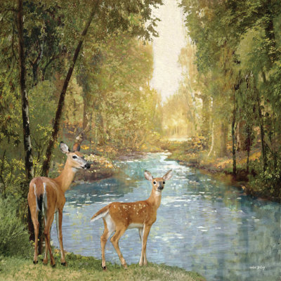 Summer Day Deer by Amber Sterling