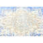 Tapis oriental bleu unique 10X14 One-of-a-Kind