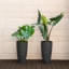 Ensemble de 2 pots à fleurs hauts et ronds-878031880-878031990