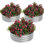 Ensemble de jardin rond surélevé, jardinière en métal galvanisé 3PCS 2 x 1,5 pi avec bord sécuritaire, lit de jardin extérieur à fond ouvert