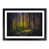 Black Framed