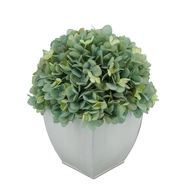 Arrangements floraux d'hortensias en pot, Bleu sarcelle