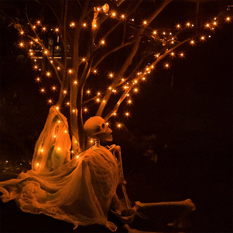 20 cm Indoor / Outdoor String Lights