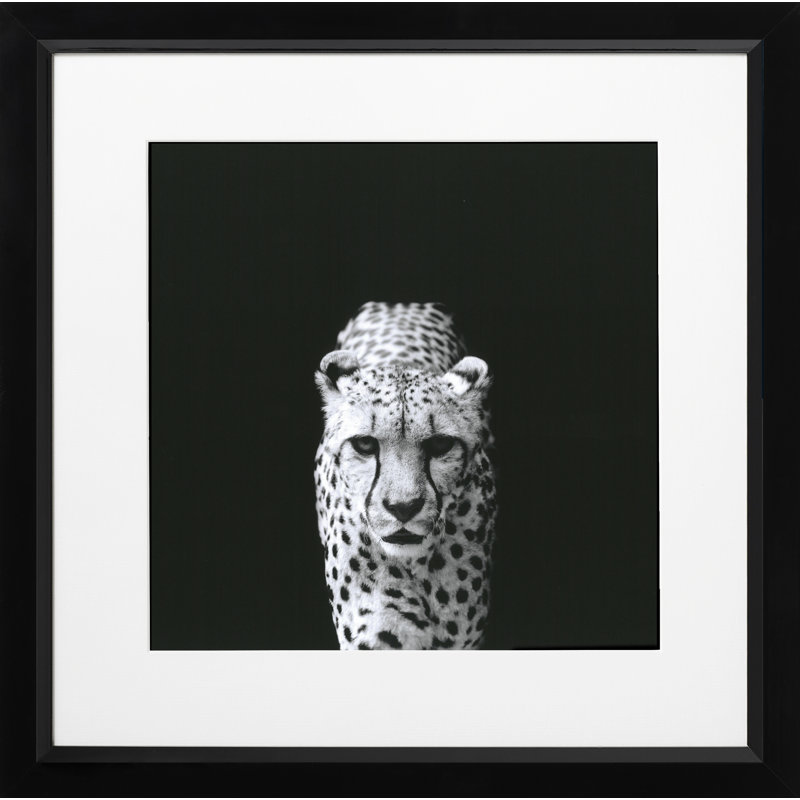 Single Picture Frame Print
