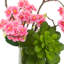 Ahreila Cherry Blossom and Succulent Faux Floral in Vase
