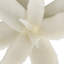 Zaloe Handmade Decorative Object