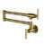 Brushed Gold is out of stock selected