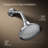 Pinstripe Single-Function Full/Standard Fixed Shower Head-50370870