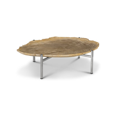 Petrified Wood Serving Tray