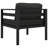 Patio Chair with Cushions