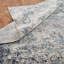 Mayer Area Rug in Ivory/Gray-479417798
