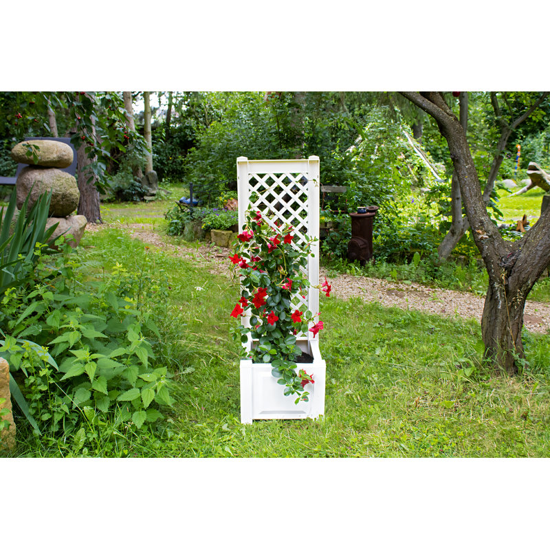 Aalisha Planter Box, White, Set of 2