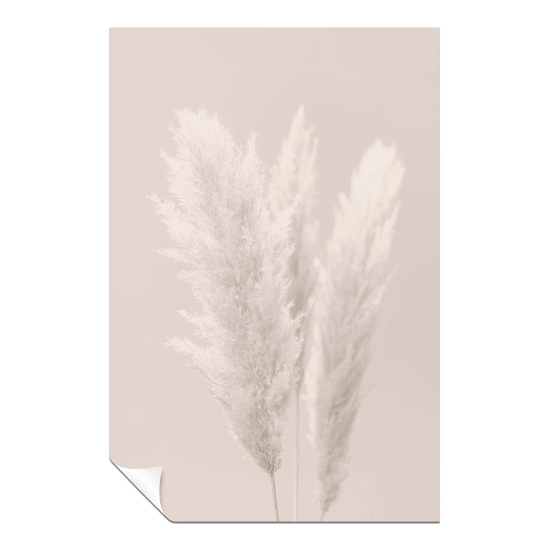 Rosalind Wheeler Fine Art Prints White Pampas Grass Beige Background Artistic Unframed Poster, Pictures For Home Walls, Bedroom, Living Room & Bathroo