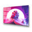 Boze Wall Decor