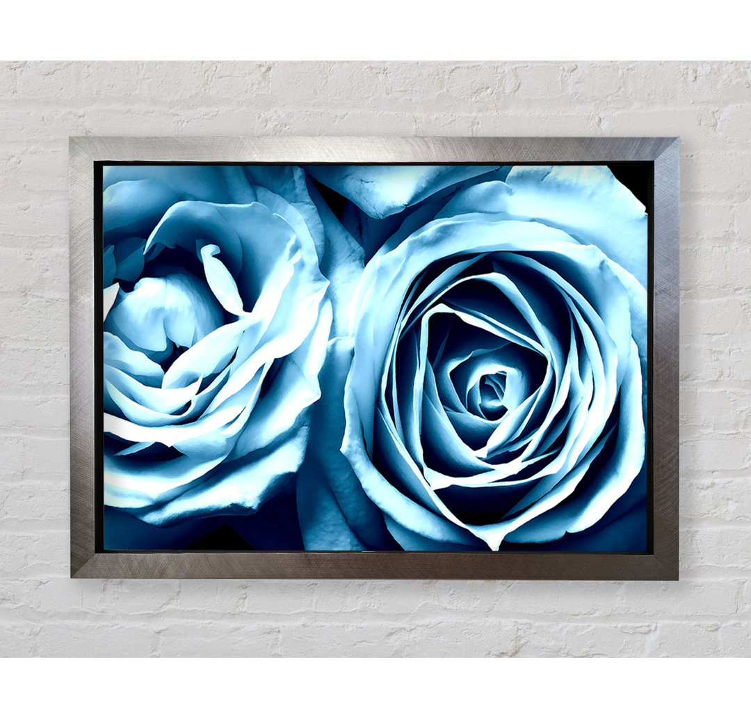 Gerahmtes Leinwandbild Twin Blue Roses