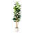 Artificial Fiddle Leaf Tree in Decorative White Planter-188350094