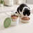 Green est en rupture de stock