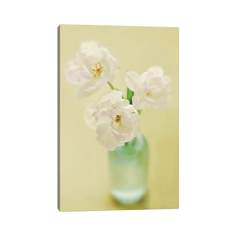 Tulips by Mandy Lynne - Wrapped Canvas Print, 20.32 cm H x 30.48 cm W