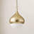 Luciel 1 Light Pendant