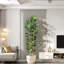 Plant-451260521
