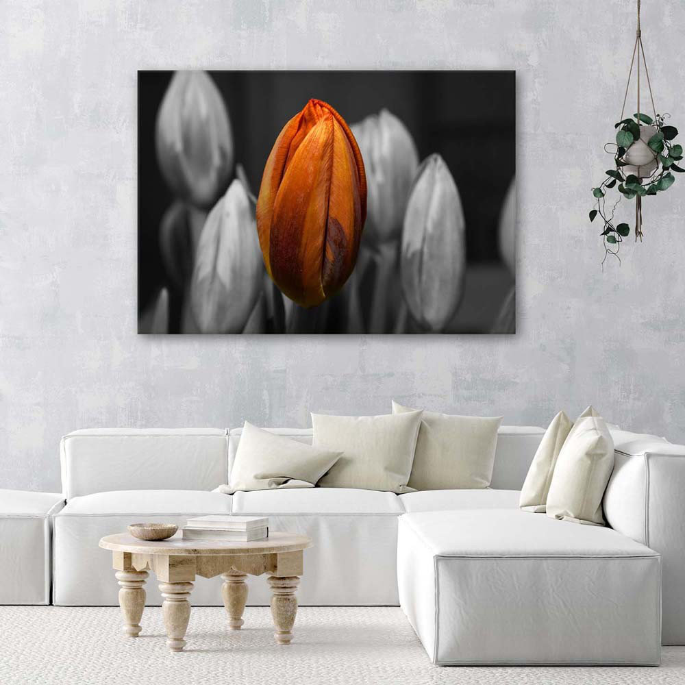 Leinwandbild Tulip Orange Grey